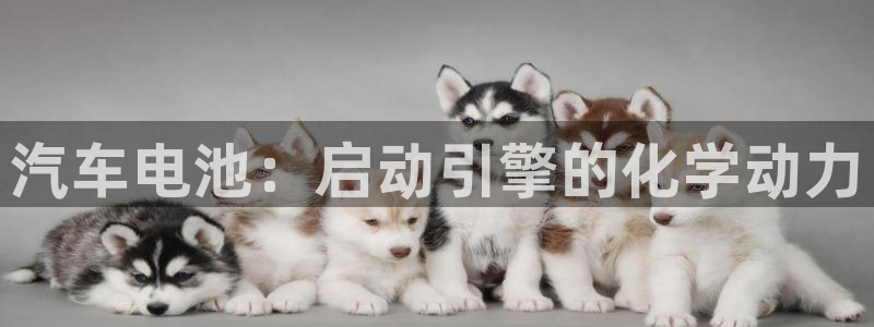 优发国际网官网