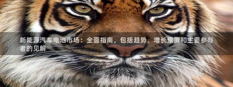 优发国际网官