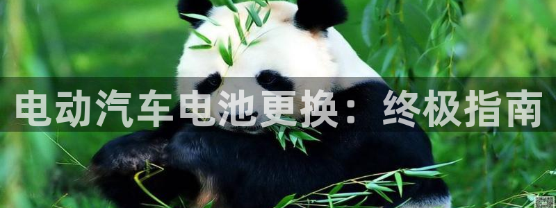 优发国际顶级