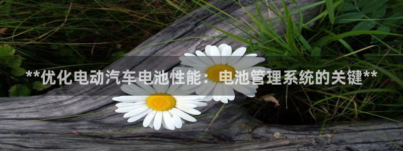 优发国际官方下载app
