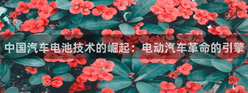 优发国际官网网站首页