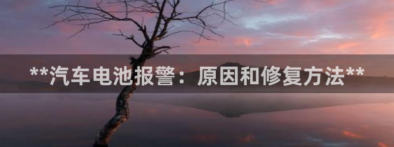 优发国际官网