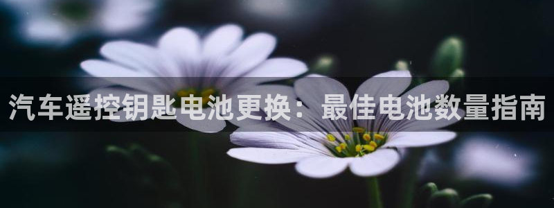 优发国际平台g8