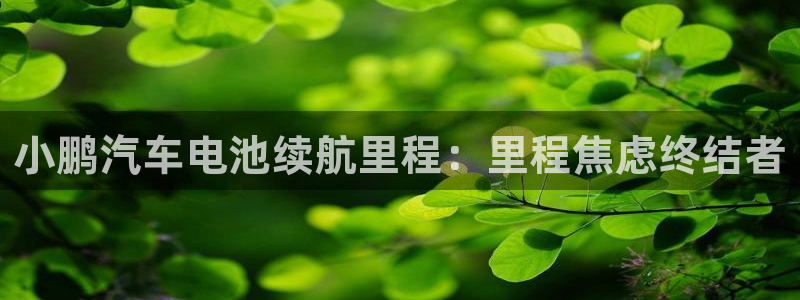 优发国际平台手机版下载