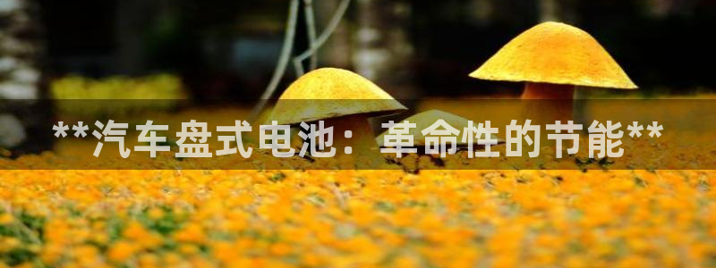 优发国际网站178