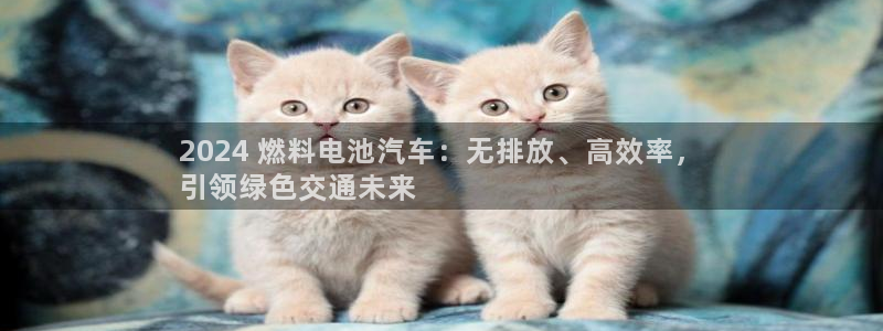 优发国际官网手机版app