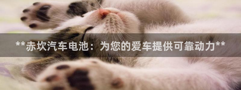 优发国际官网是多少号码