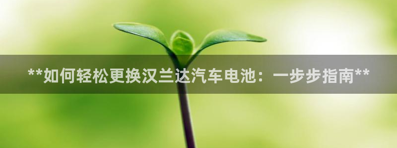 优发国际youfa