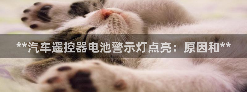 优发国际官网网站入口