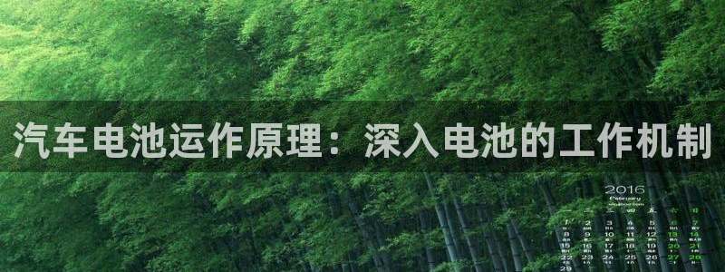 优发国际多少钱