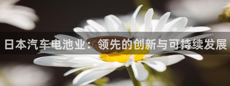 优发游戏官网