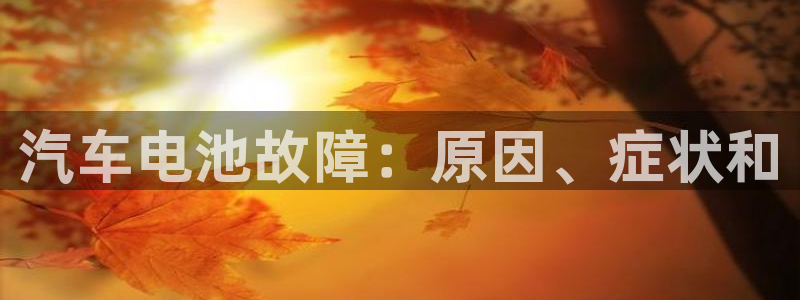 优发国际这个平台怎么样啊