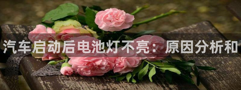 优发国际vip网址