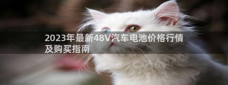 优发国际官方网手机版下载