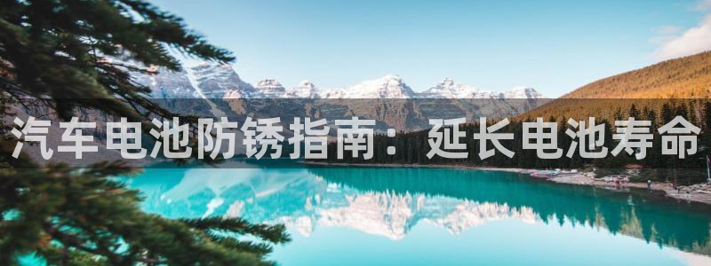 优发国际多少