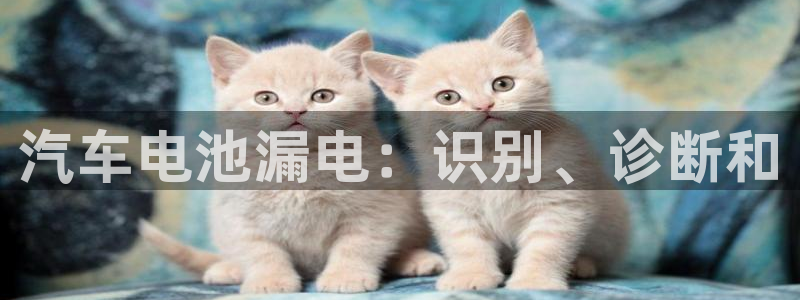 优发国际手机app下载安装最新版