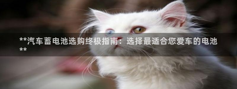 优发国际官网网站