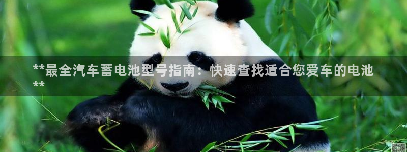 优发娱乐pc版官网