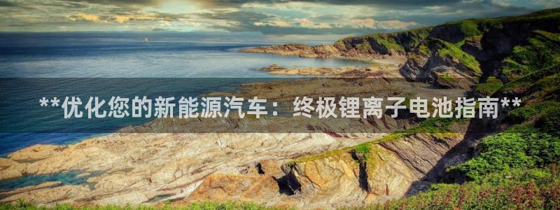 优发国际是大平台吗