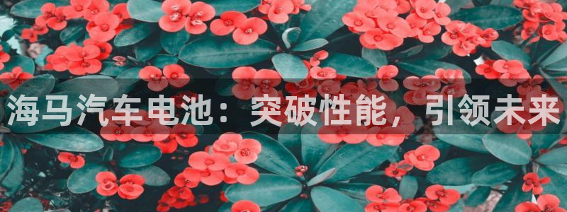 优发国际游戏