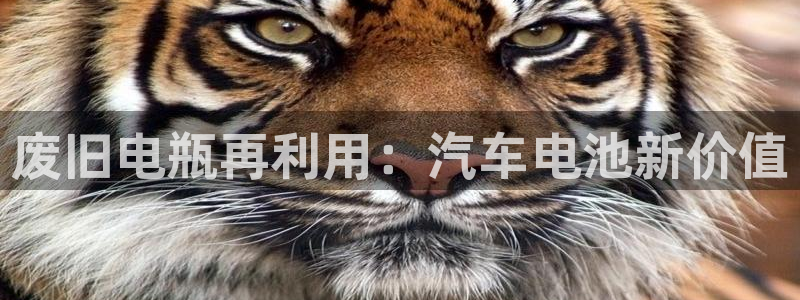 优发国际娱乐官网多少?