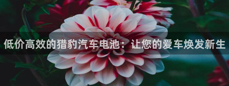 优发国际官方网平台电话
