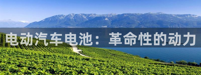 优发国际安卓版下载安装最新版