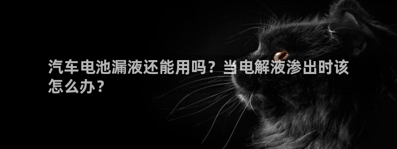 优发国际官网手机版下载安卓