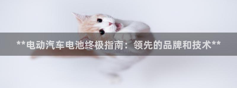 优发国际集团股份有限公司官网