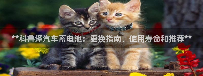 优发国际官网入口app下载安装