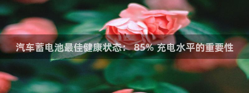 优发国际手机客户端下载安卓