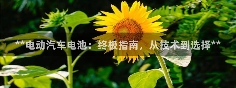 优发国际