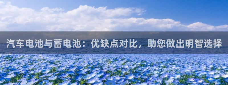 优发国际网站多少