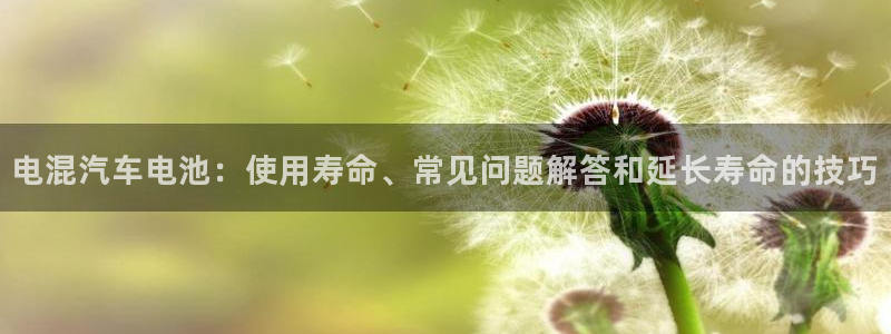 优发国际多少