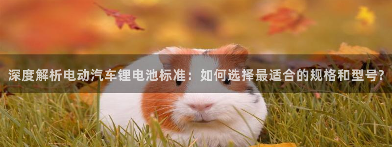 优发国际安卓版下载安装苹果