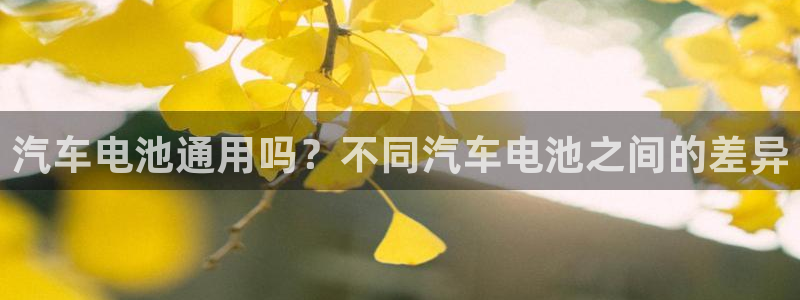 优发国际集团股份有限公司是国企吗