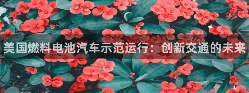 优发国际游戏17