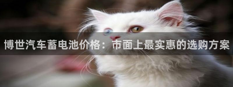 优发国际平台18岁能做吗