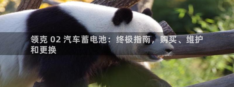 优发国际提现不了