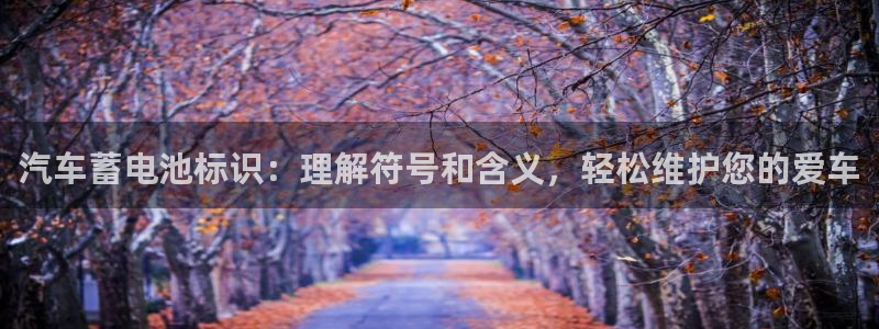 优发国际网站官网