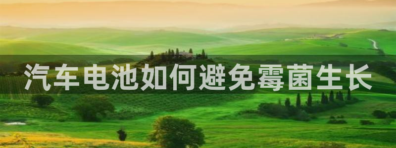 优发国际官网首页
