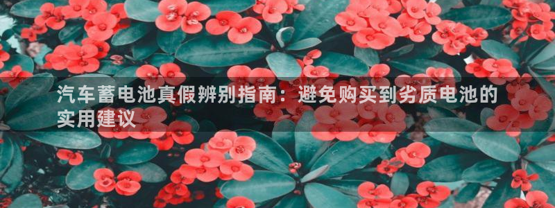 优发国际手机客户端下载官网