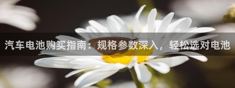 优发国际平台app下载官网