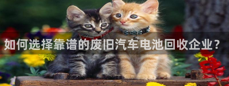 优发国际是大平台吗还是小平