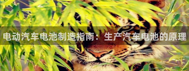 优发国际网站：电动汽车电池制造指南：生产汽车电池的原理