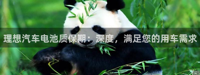 优发国际官网手机版入口