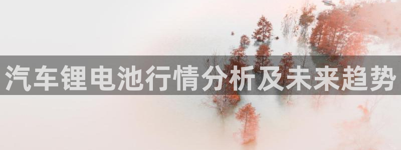优发国际登陆：汽车锂电池行情分析及未来趋势