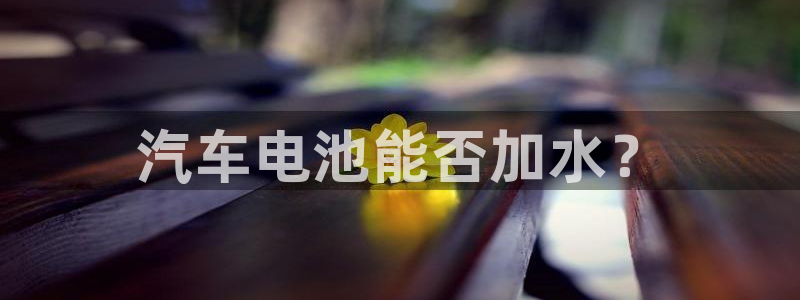 优发国际网官网址是多少：汽车电池能否加水？