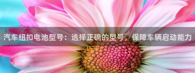 优发国际注册平台怎么样：汽车纽扣电池型号：选择正确的型号，保障车辆启动能力