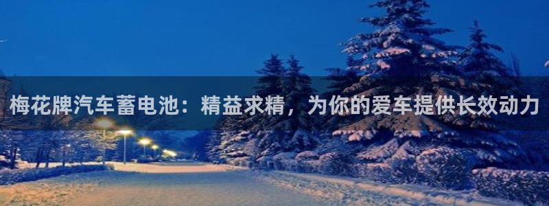 优发国际不出款：梅花牌汽车蓄电池：精益求精，为你的爱车提供长效动力